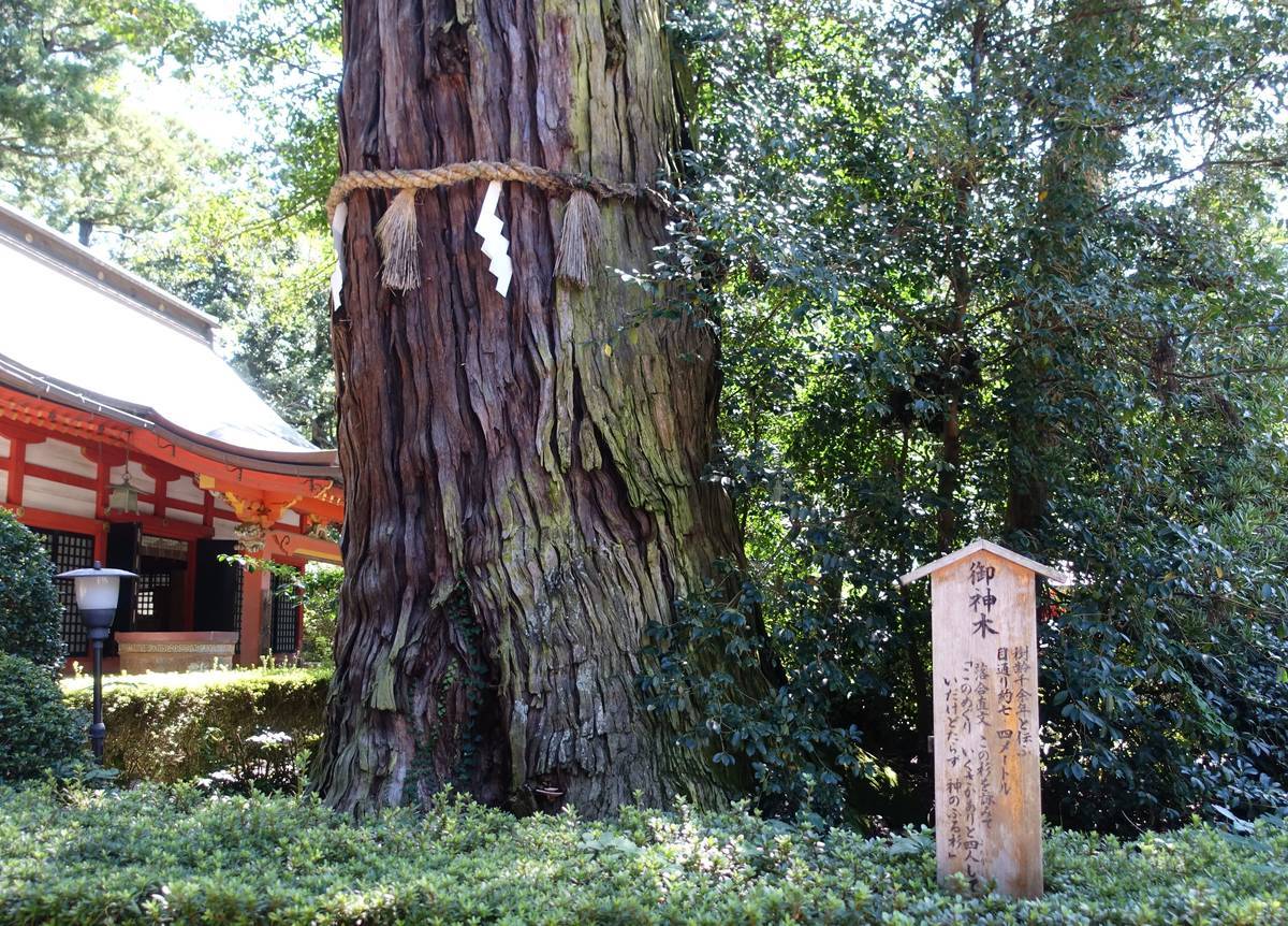 f:id:kojikint70:20201001142636j:plain f:id:kojikint70:20201001142636j:plain