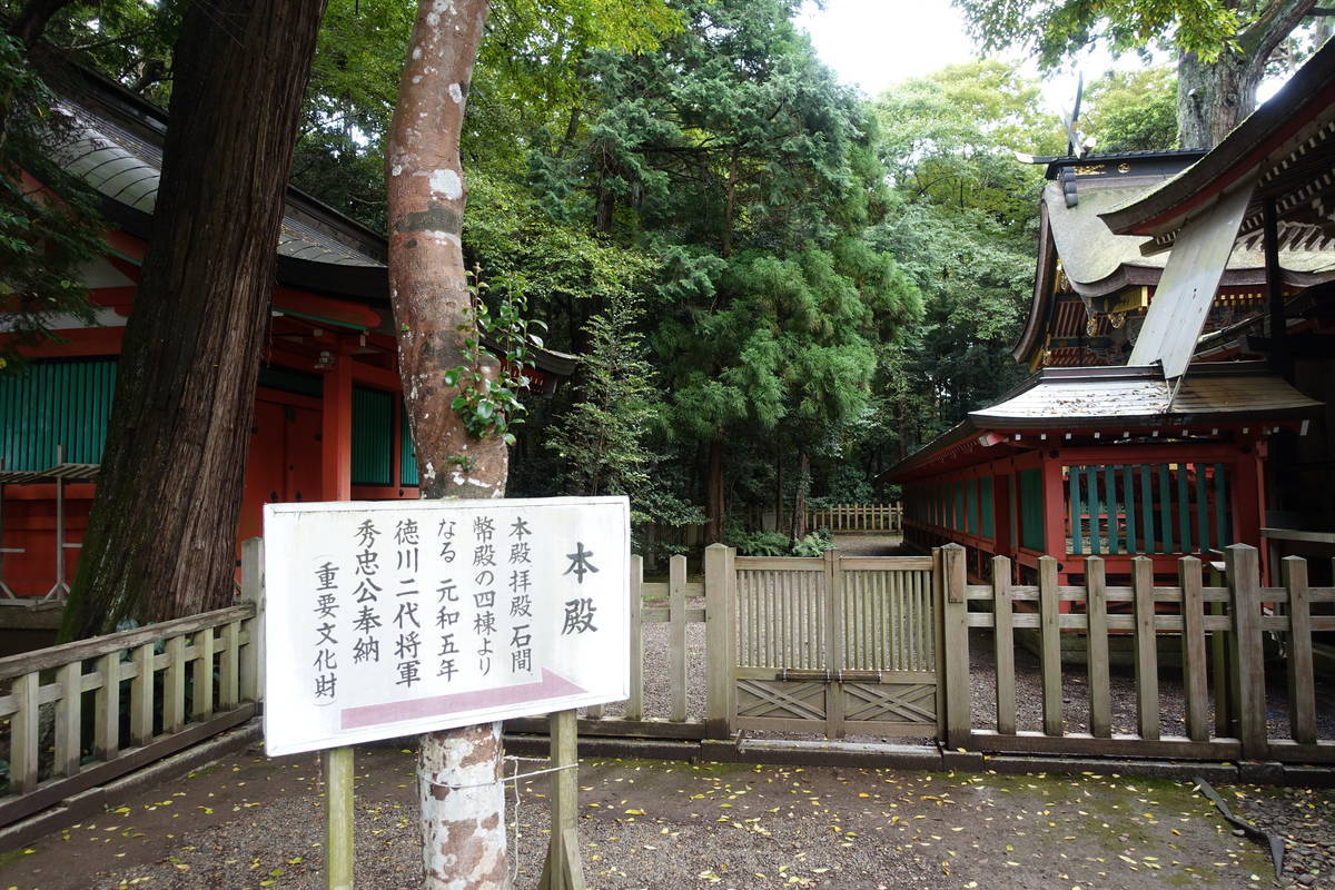 f:id:kojikint70:20201015080746j:plain