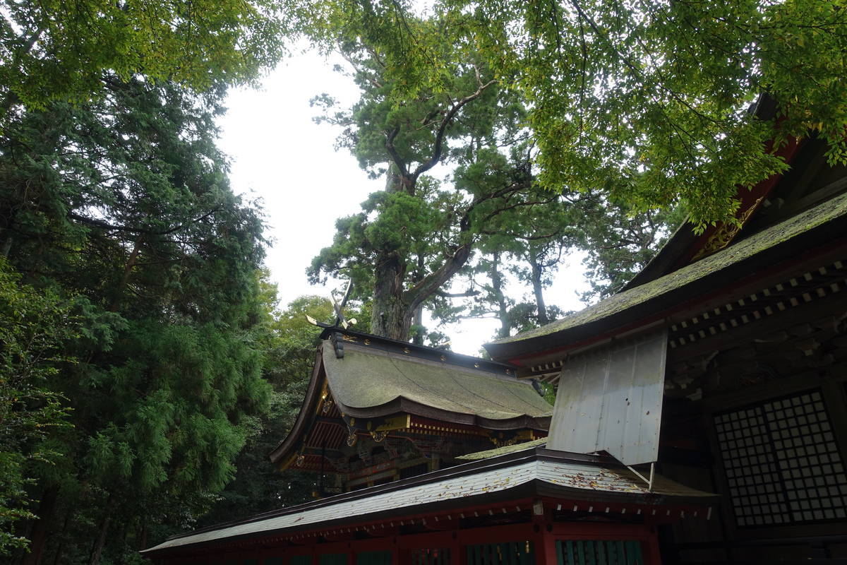 f:id:kojikint70:20201015080831j:plain