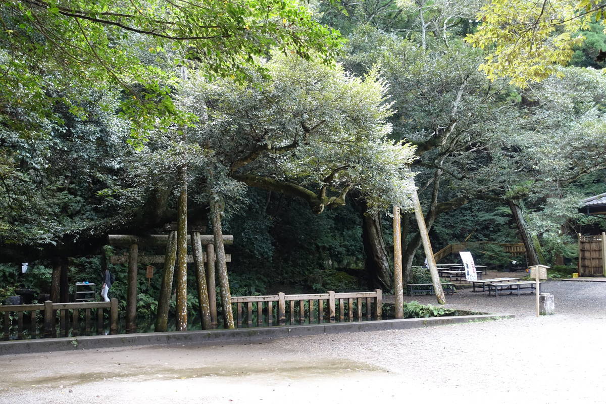 f:id:kojikint70:20201015141345j:plain