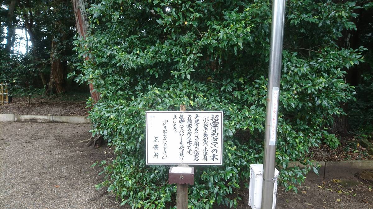 f:id:kojikint70:20201018205933j:plain