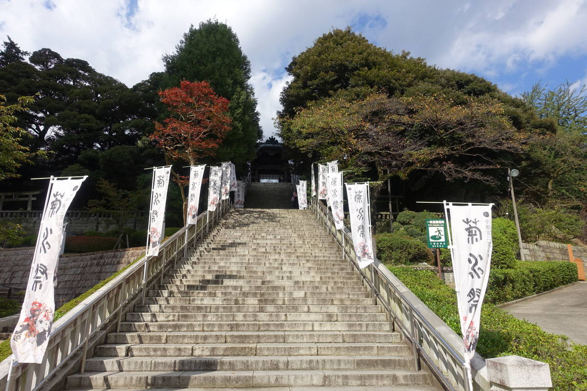 f:id:kojikint70:20201021191952j:plain