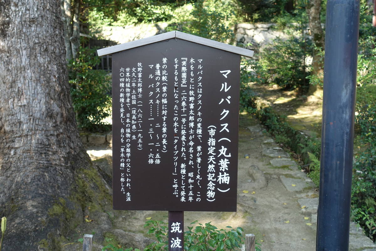 f:id:kojikint70:20201027203548j:plain