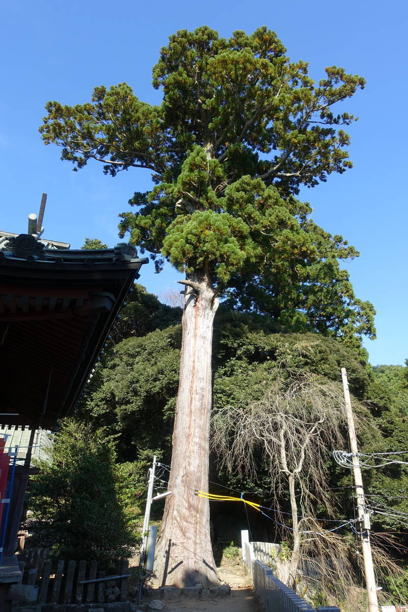 f:id:kojikint70:20201027203641j:plain