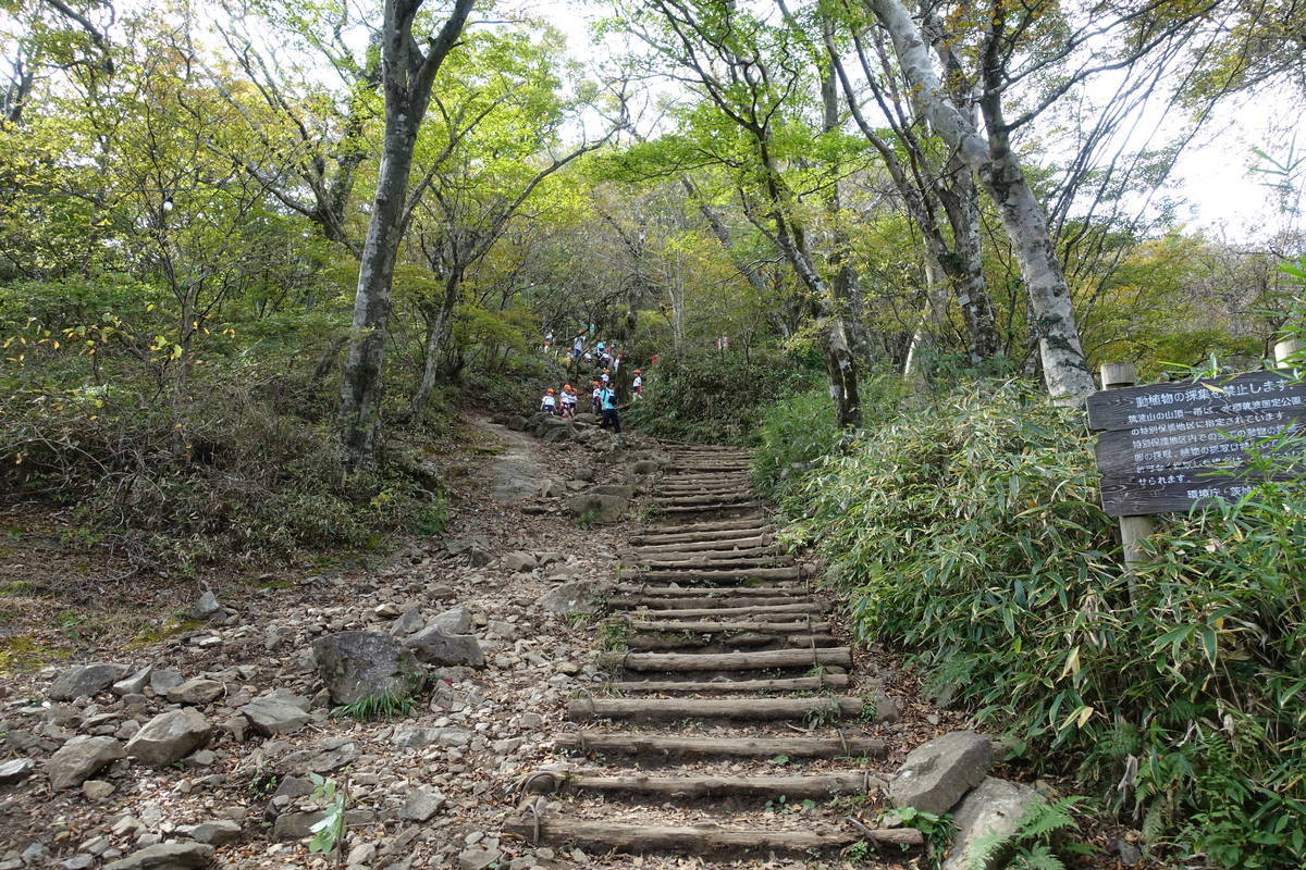 f:id:kojikint70:20201028071041j:plain
