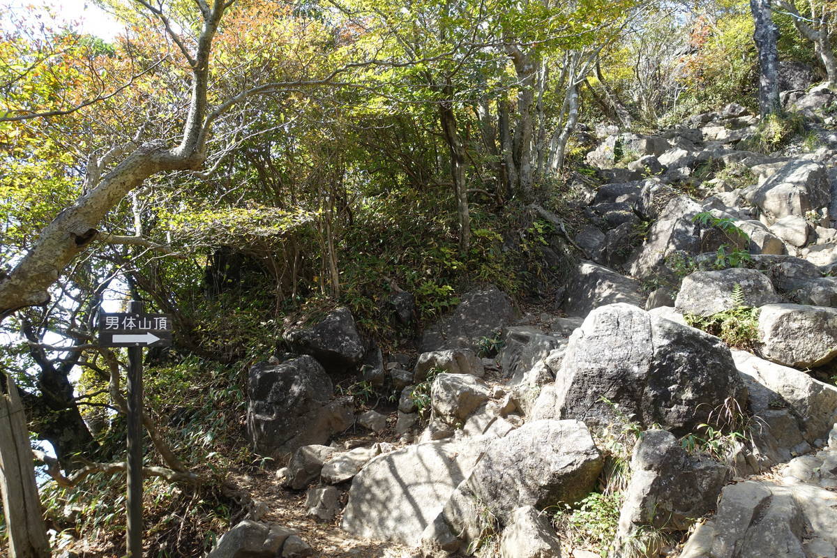 f:id:kojikint70:20201028072303j:plain