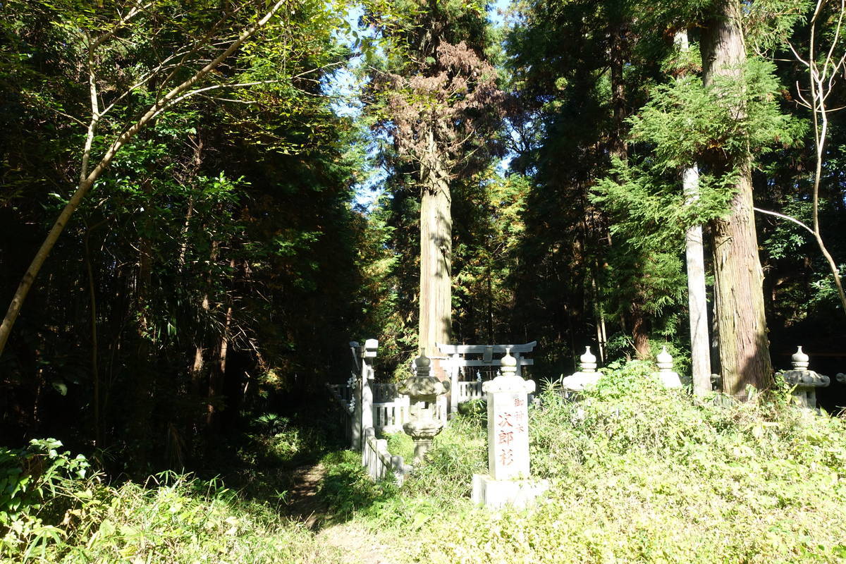 f:id:kojikint70:20201115191839j:plain