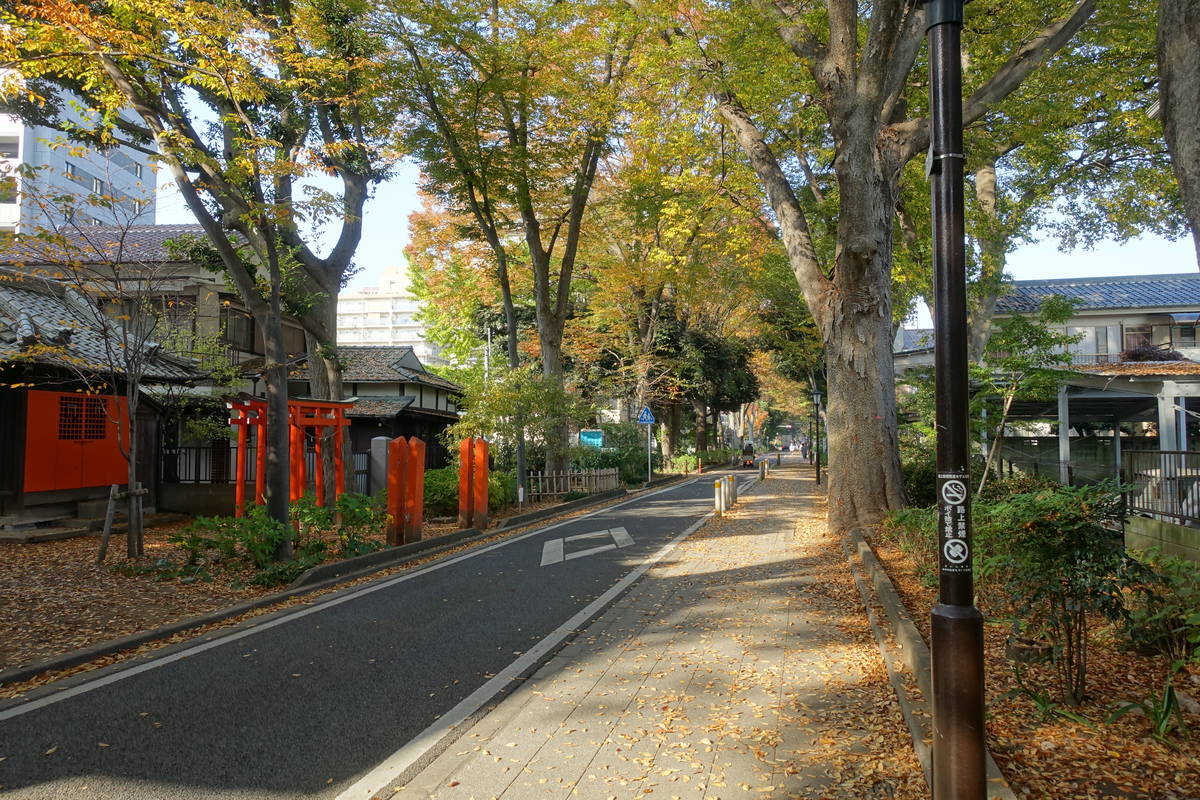 f:id:kojikint70:20201120091419j:plain