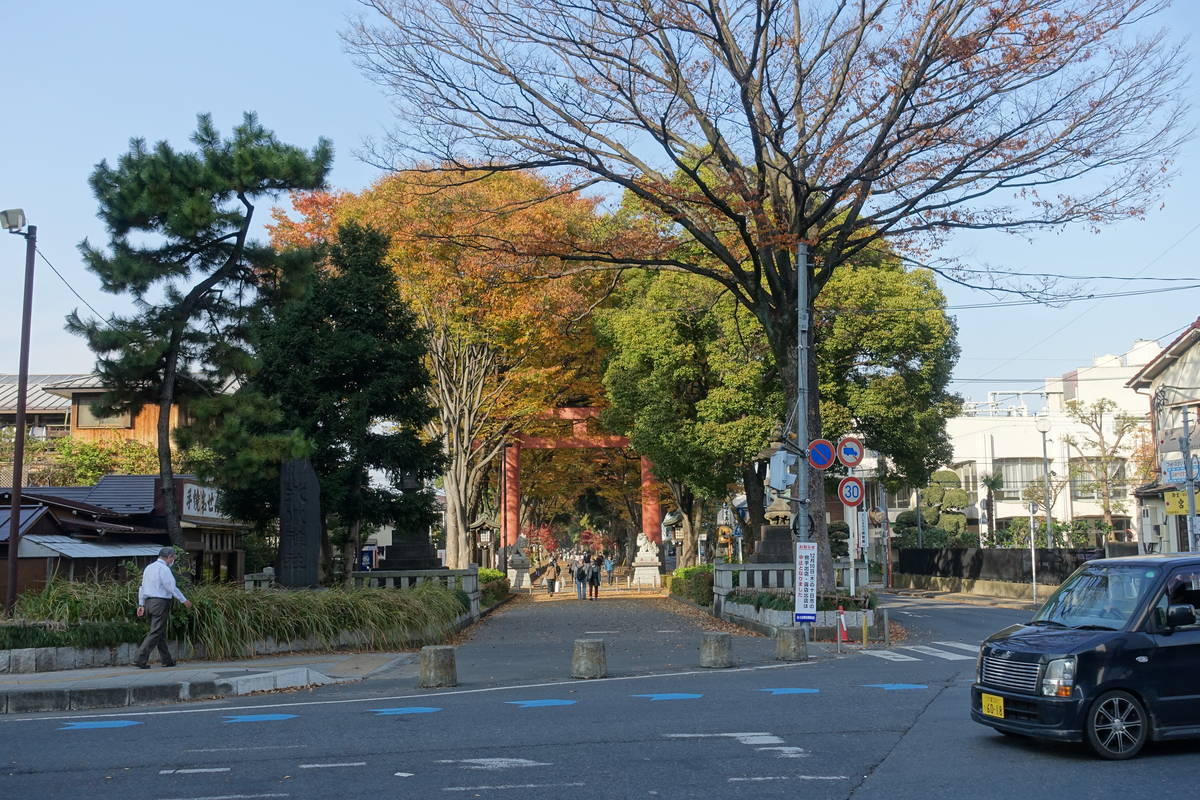 f:id:kojikint70:20201120093141j:plain