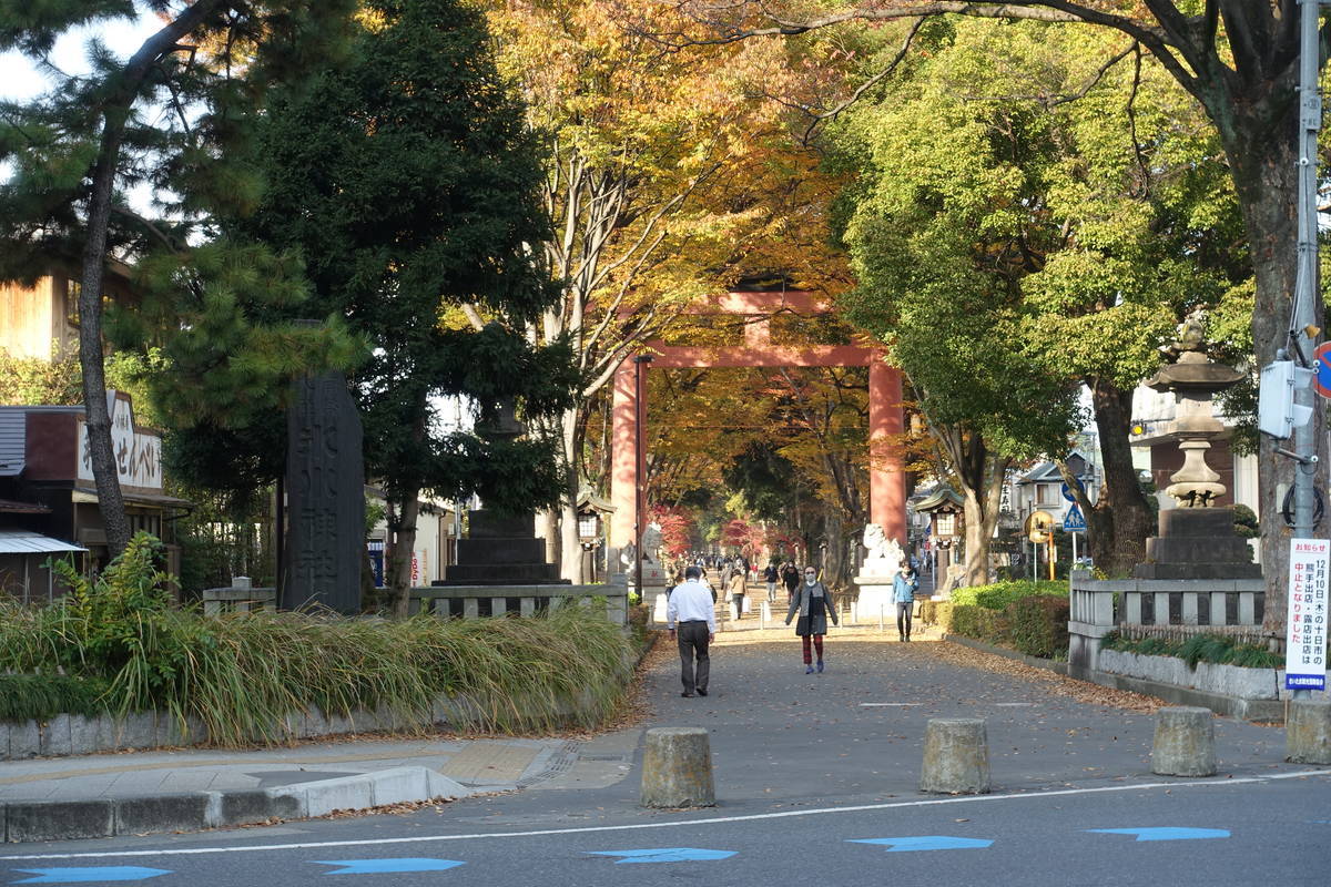f:id:kojikint70:20201120093222j:plain