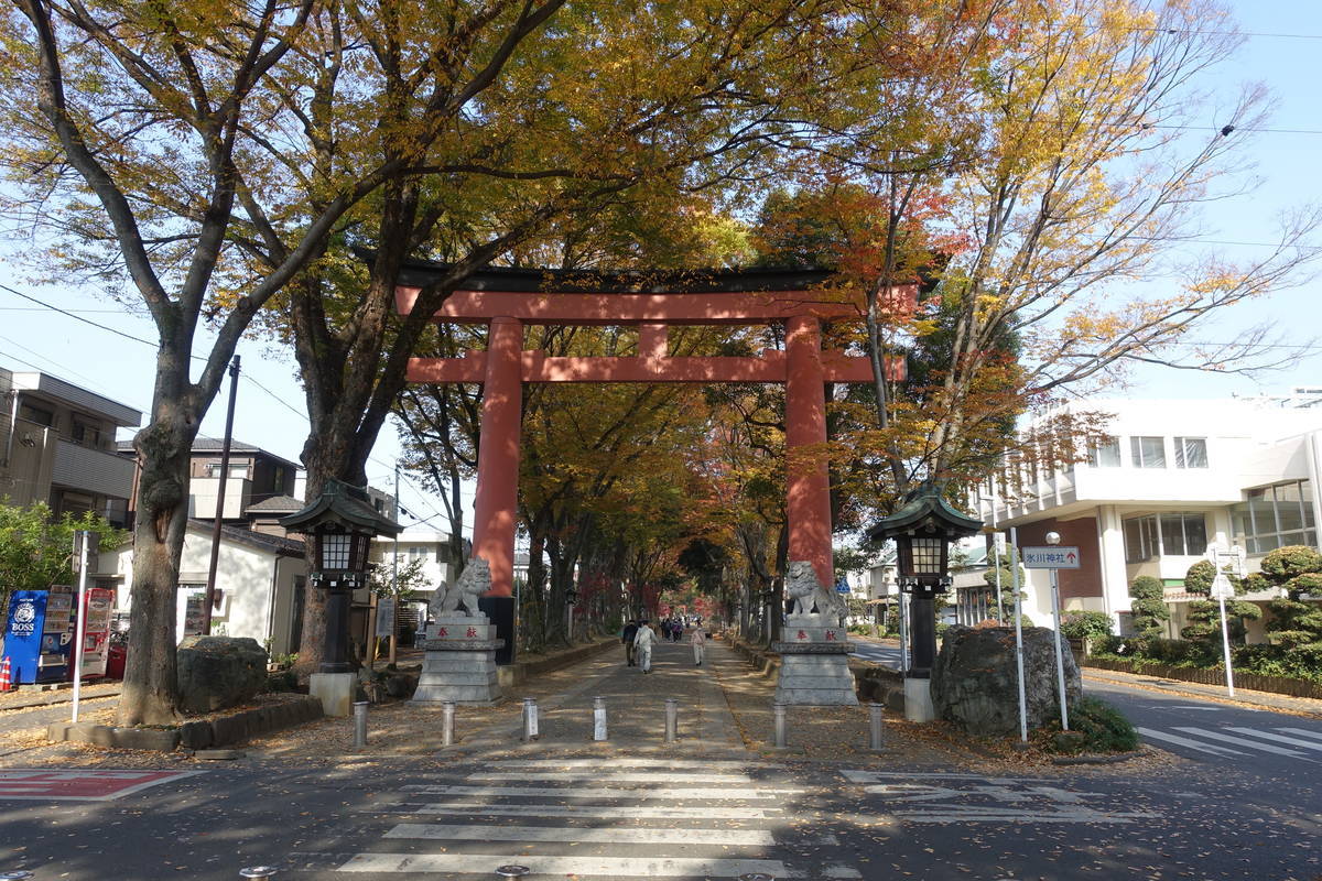 f:id:kojikint70:20201120093701j:plain