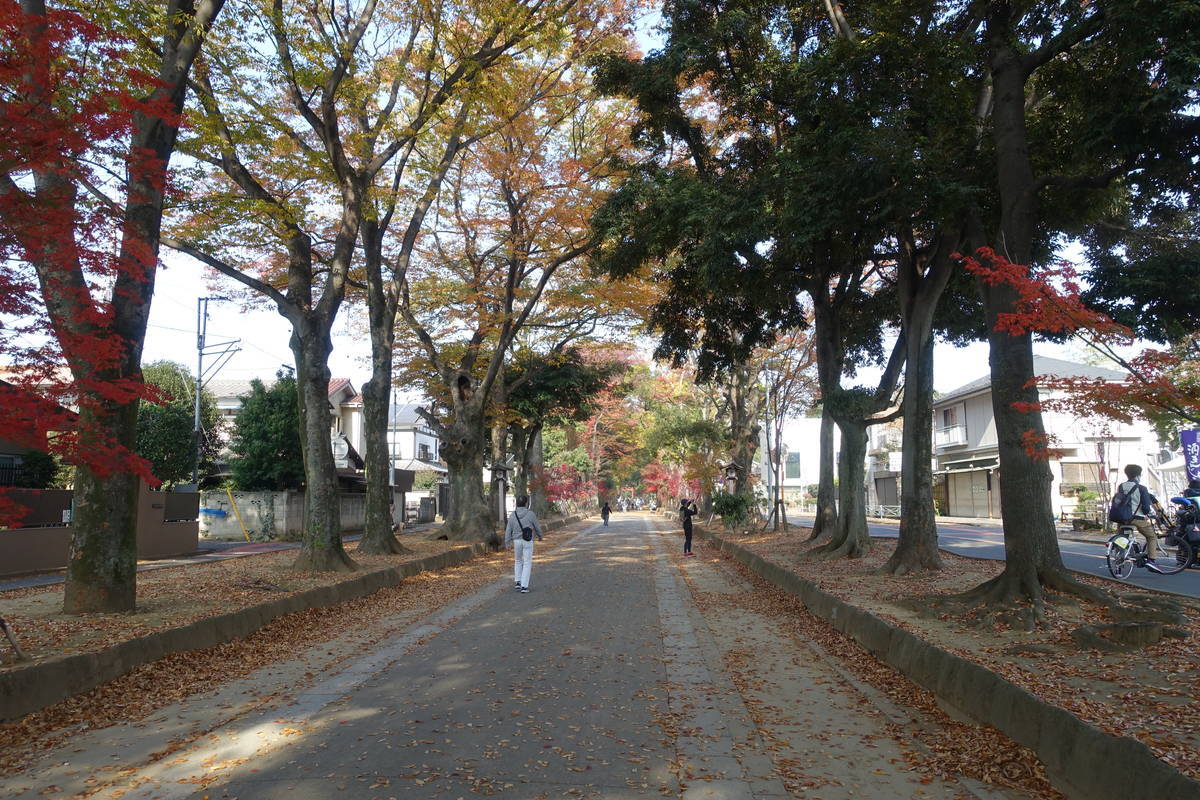 f:id:kojikint70:20201120095514j:plain