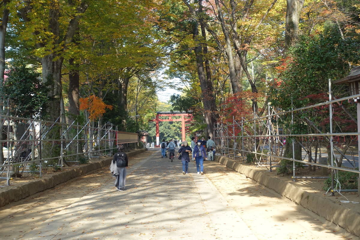 f:id:kojikint70:20201120095711j:plain