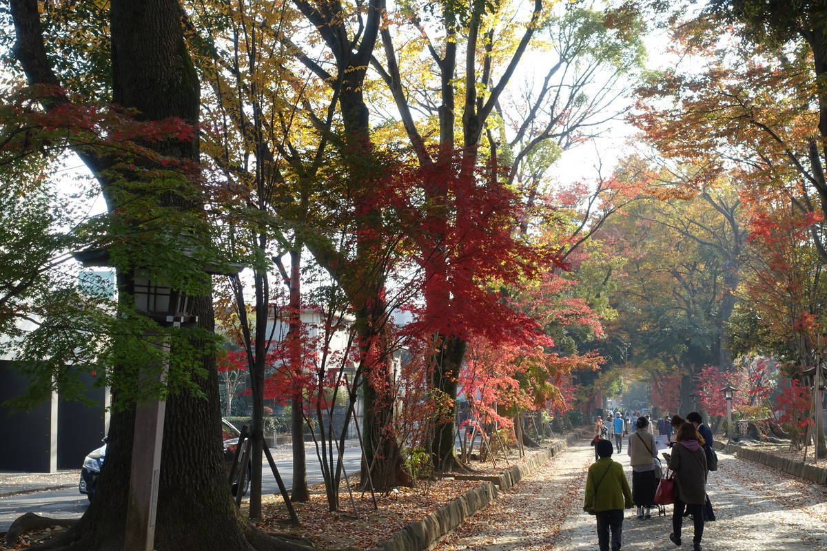 f:id:kojikint70:20201120100020j:plain