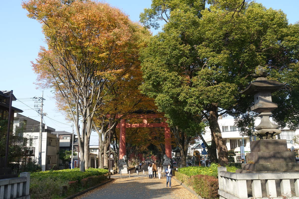 f:id:kojikint70:20201120143239j:plain