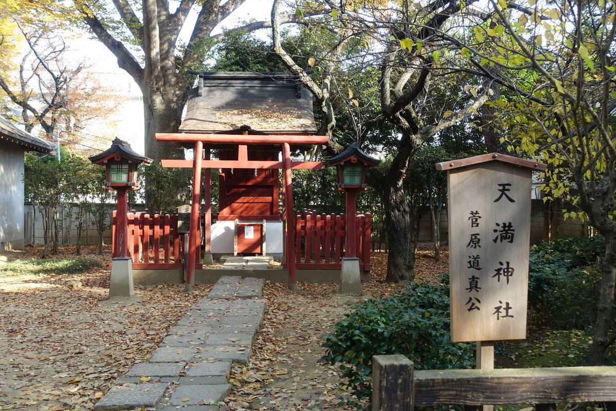 f:id:kojikint70:20201120144850j:plain