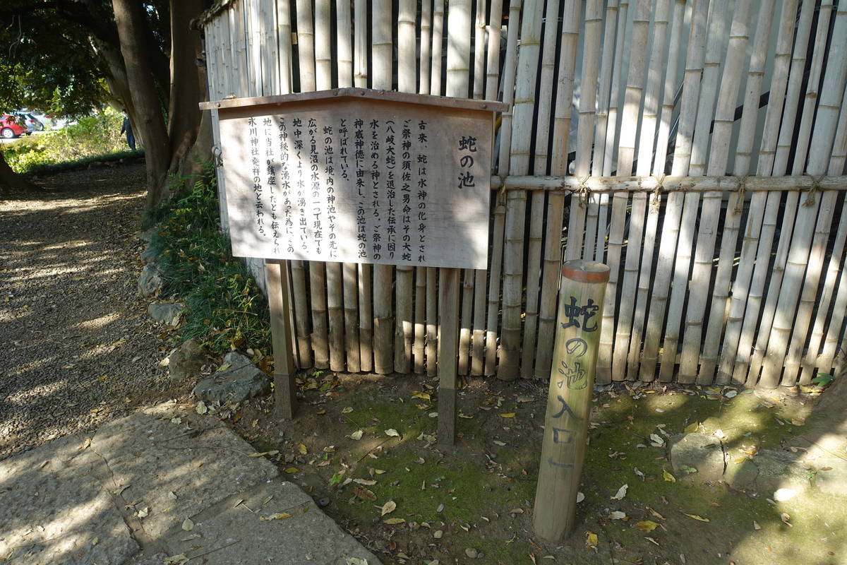 f:id:kojikint70:20201120151136j:plain
