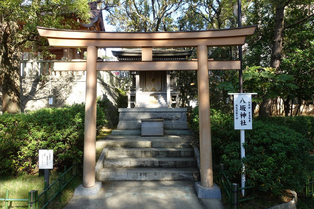 f:id:kojikint70:20201127180539j:plain