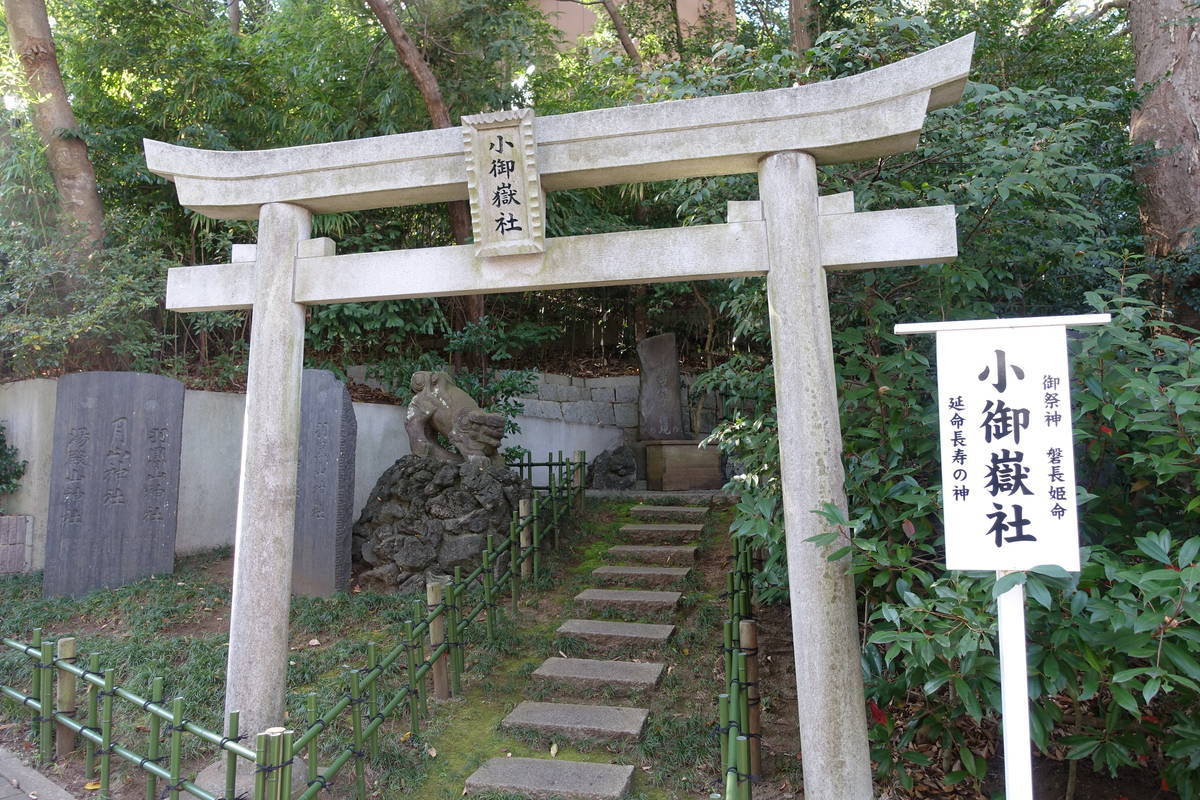 f:id:kojikint70:20201127181259j:plain