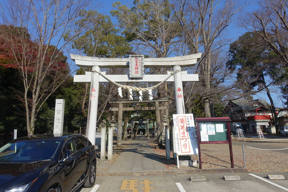 f:id:kojikint70:20201202092649j:plain