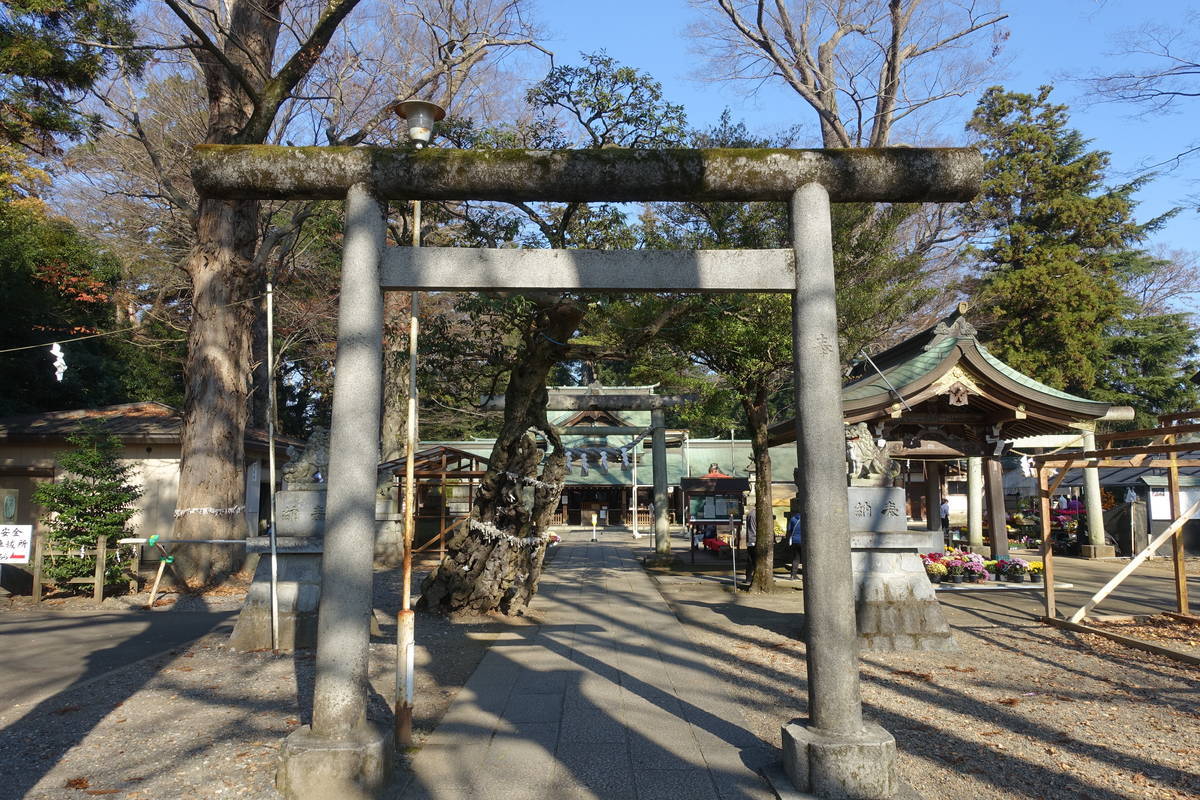 f:id:kojikint70:20201202094717j:plain