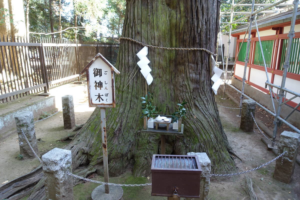 f:id:kojikint70:20201202204555j:plain