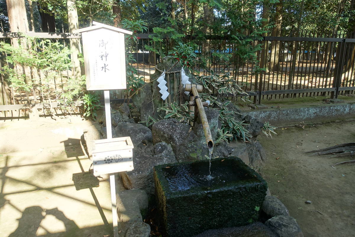 f:id:kojikint70:20201202204751j:plain