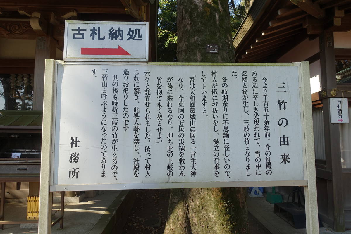 f:id:kojikint70:20201202205431j:plain