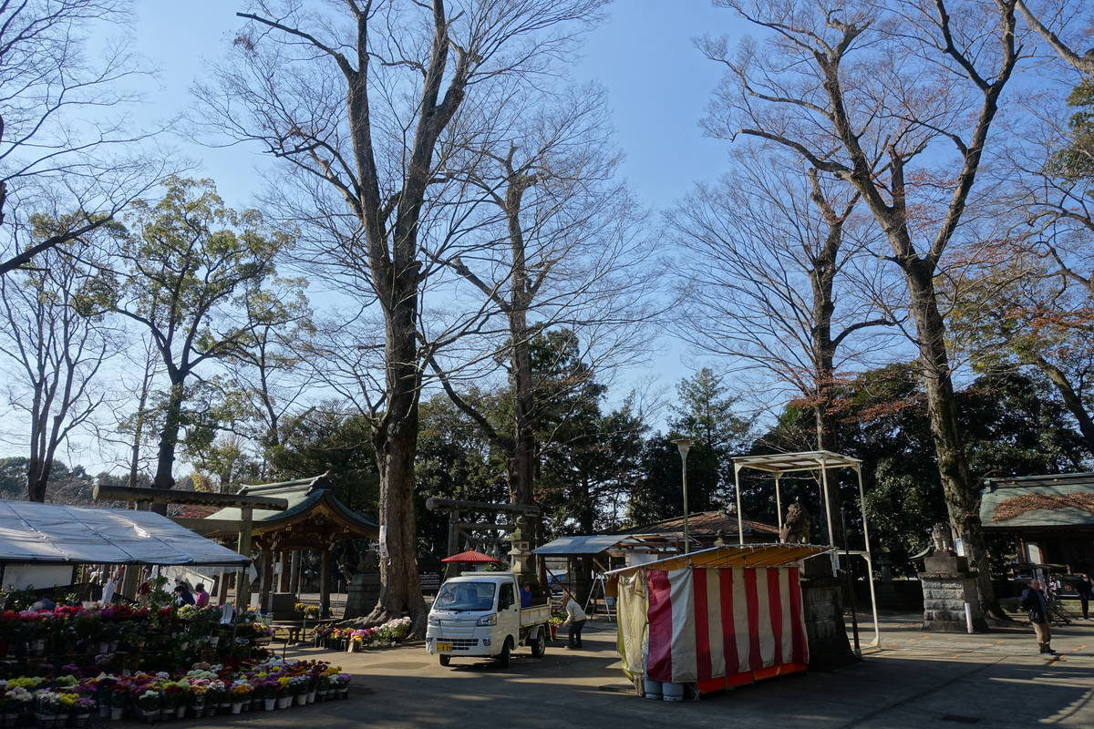 f:id:kojikint70:20201202222057j:plain