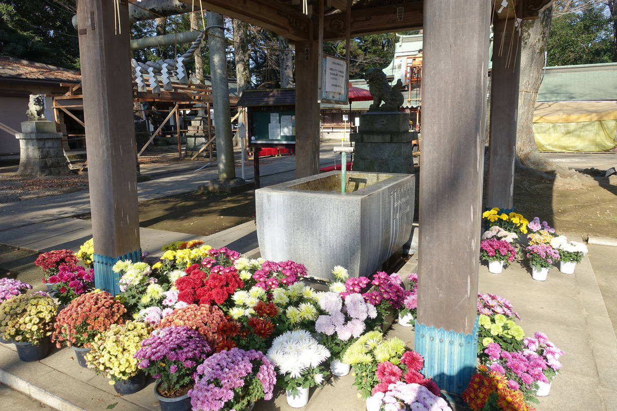 f:id:kojikint70:20201202222221j:plain