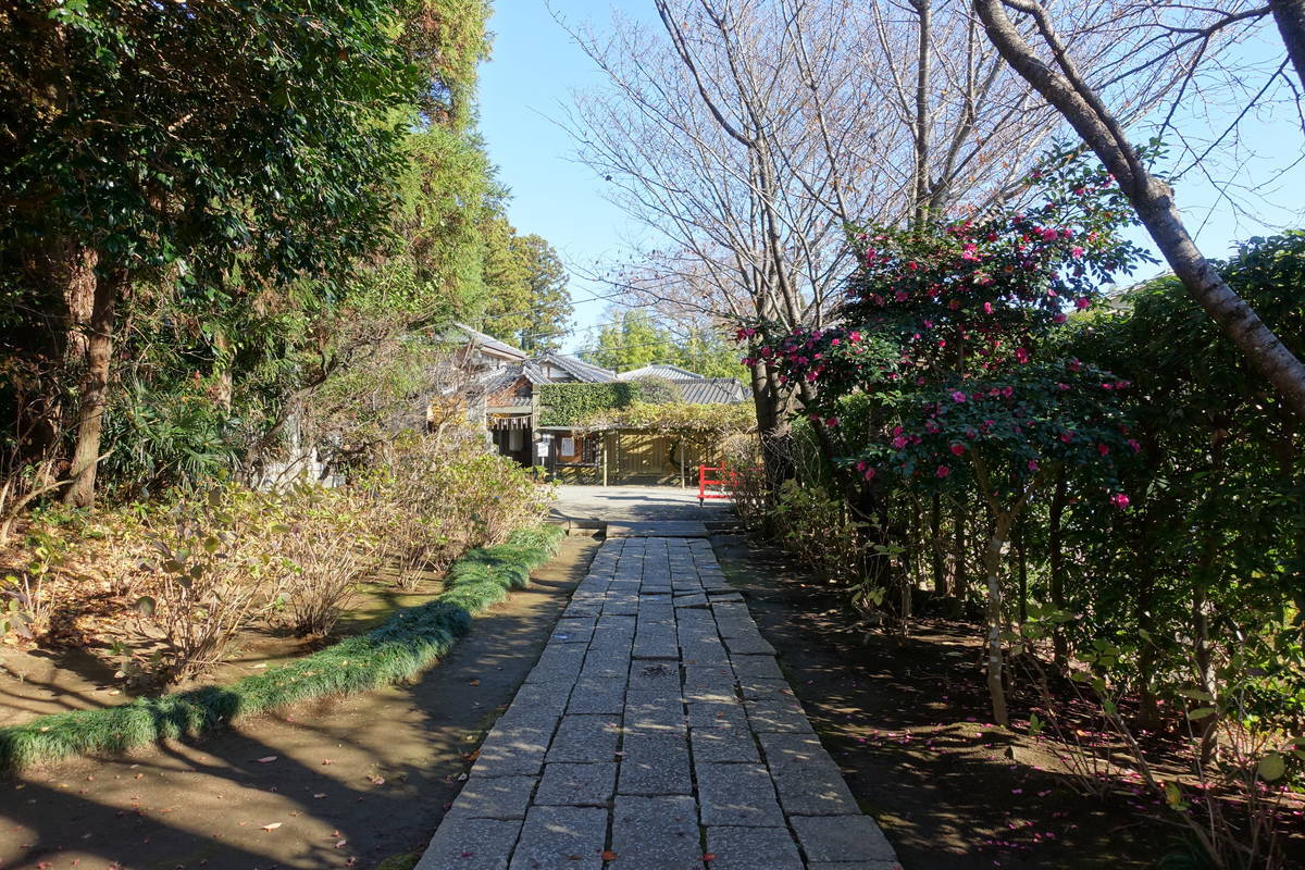 f:id:kojikint70:20201206191519j:plain