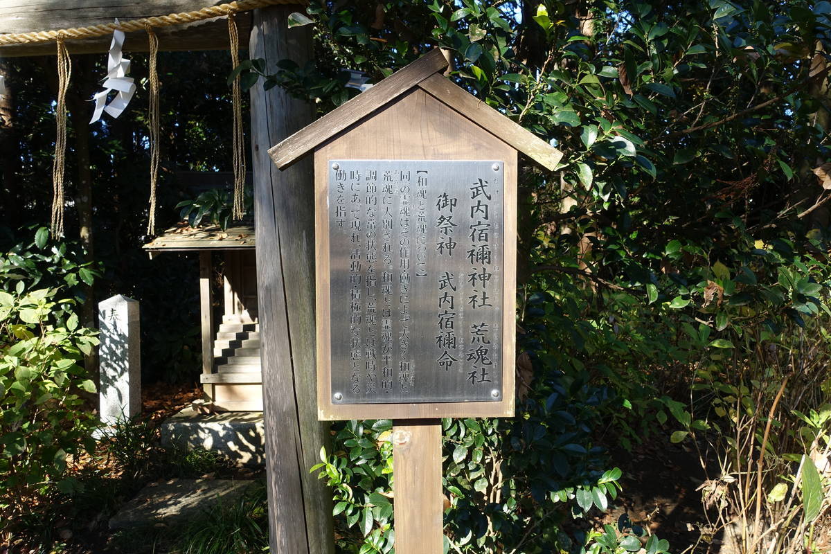 f:id:kojikint70:20201207165758j:plain
