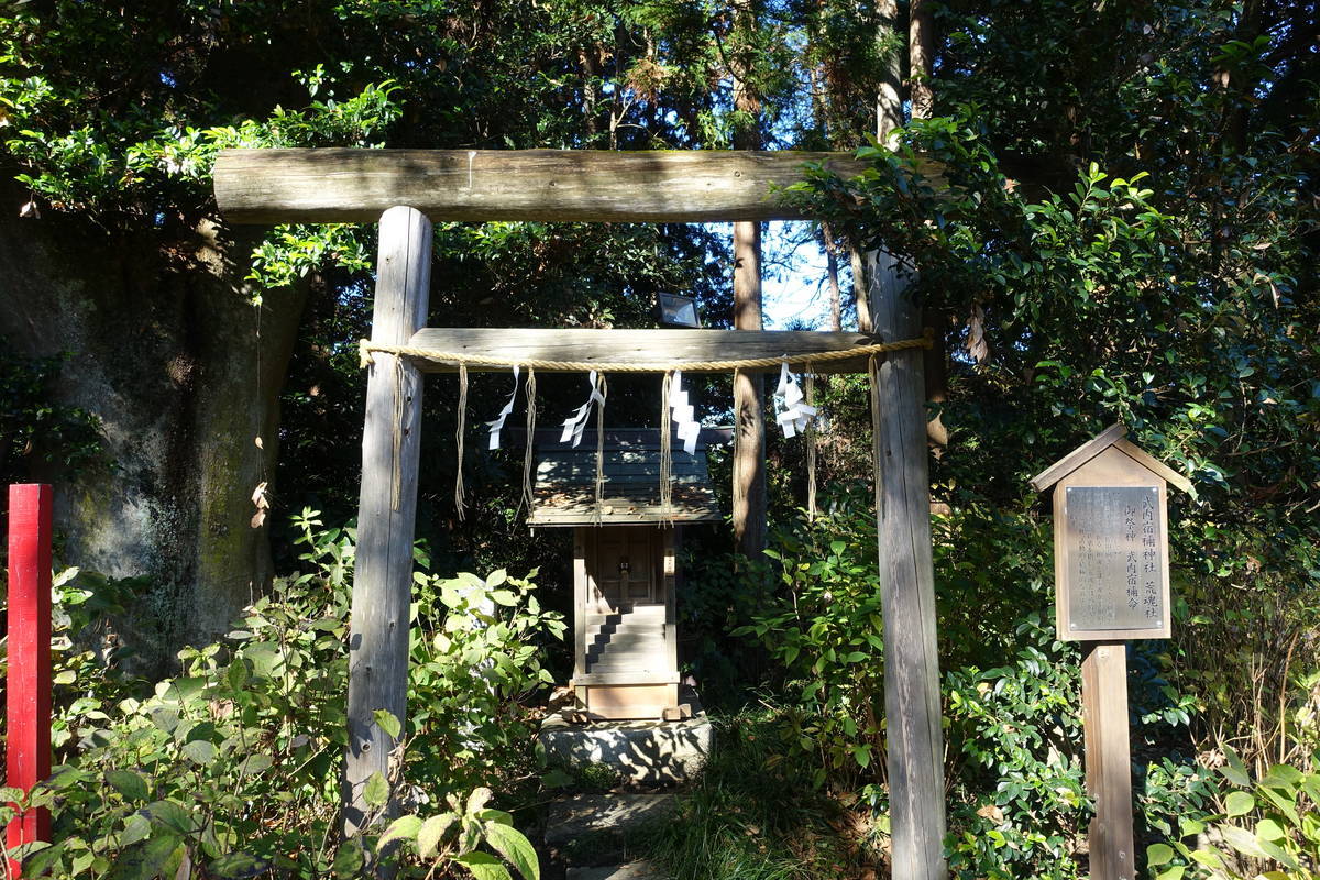 f:id:kojikint70:20201207165902j:plain