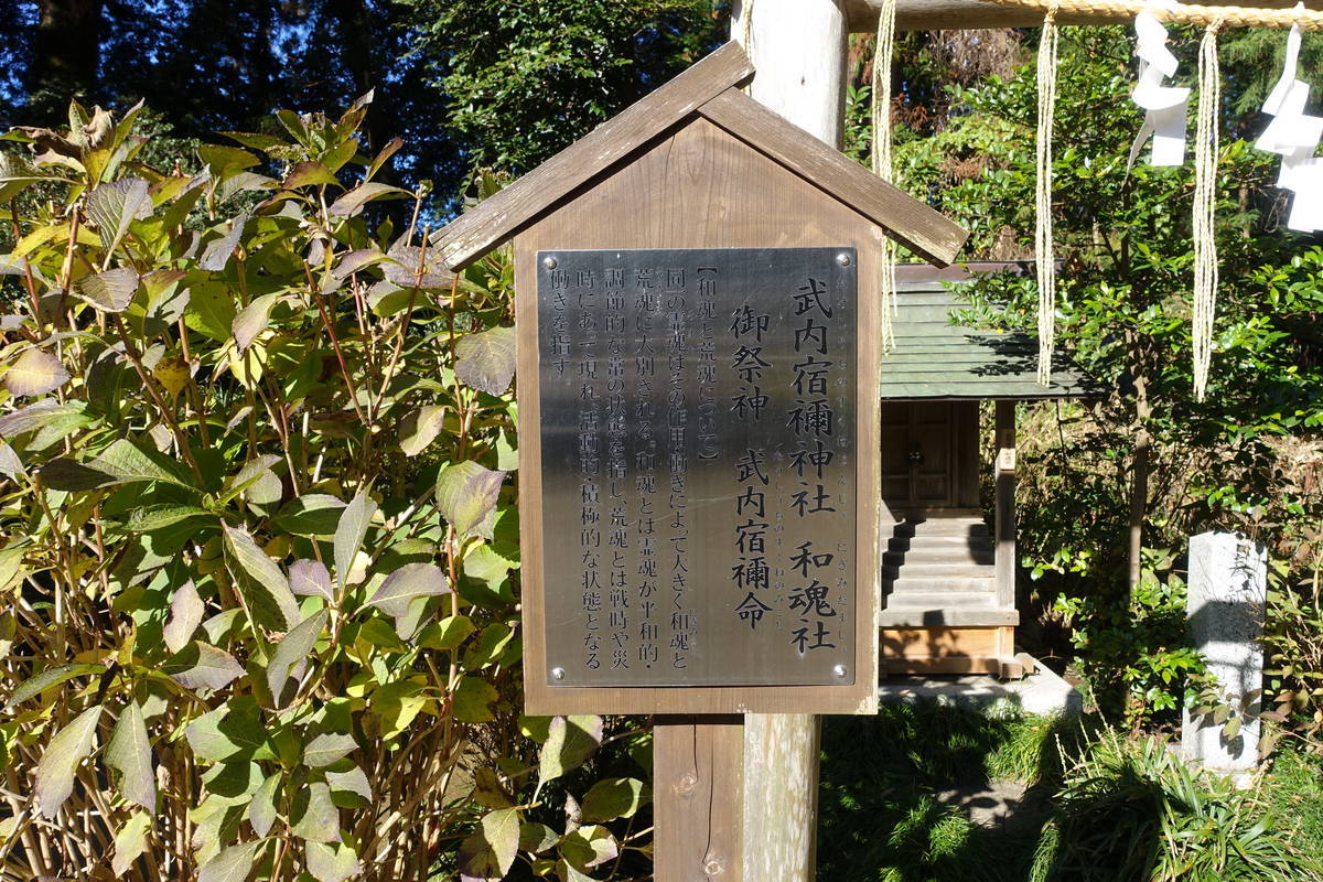 f:id:kojikint70:20201207165945j:plain
