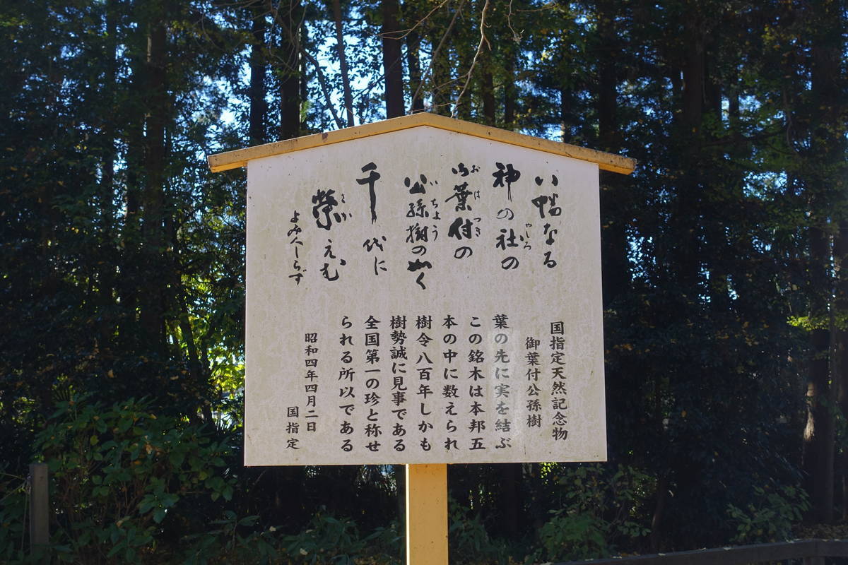 f:id:kojikint70:20201207173502j:plain