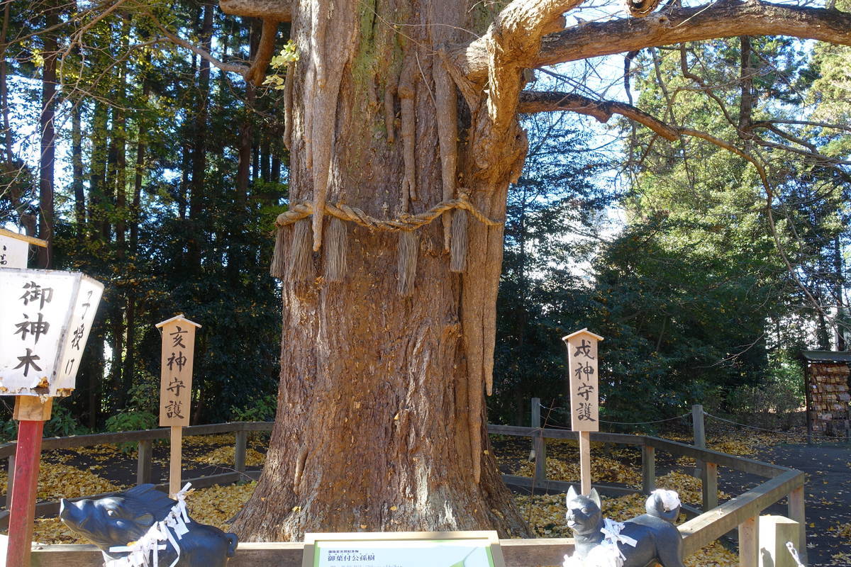 f:id:kojikint70:20201207173536j:plain