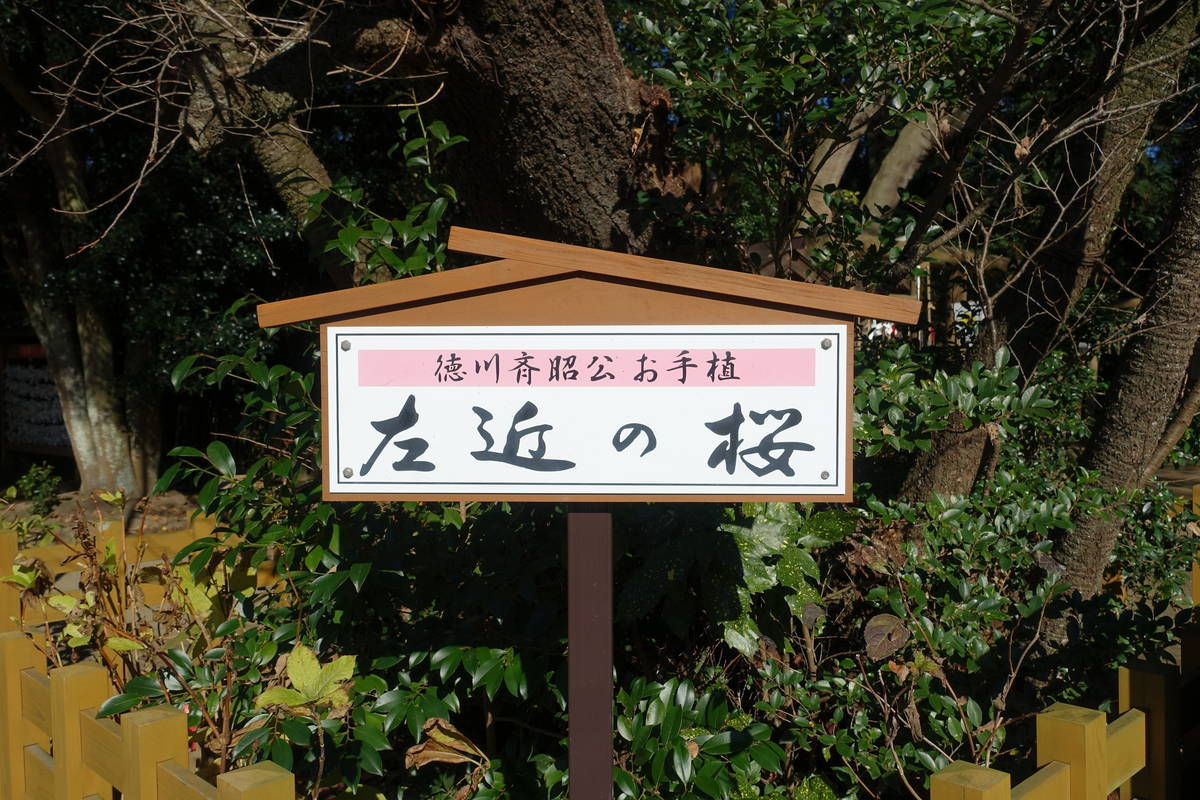 f:id:kojikint70:20201207173753j:plain