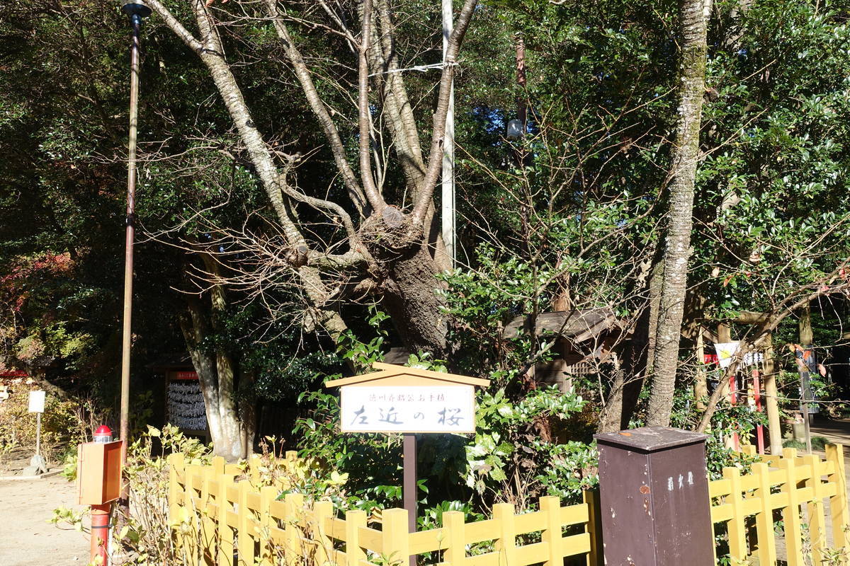f:id:kojikint70:20201207173829j:plain