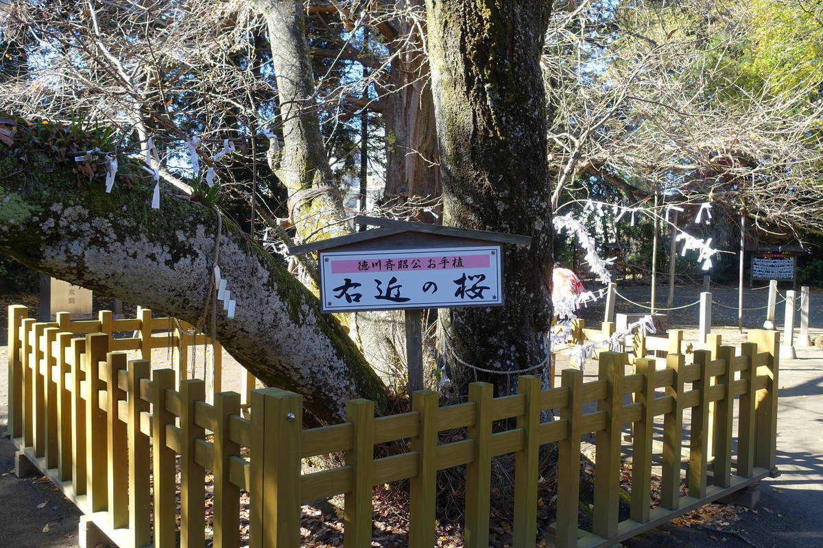 f:id:kojikint70:20201207173921j:plain