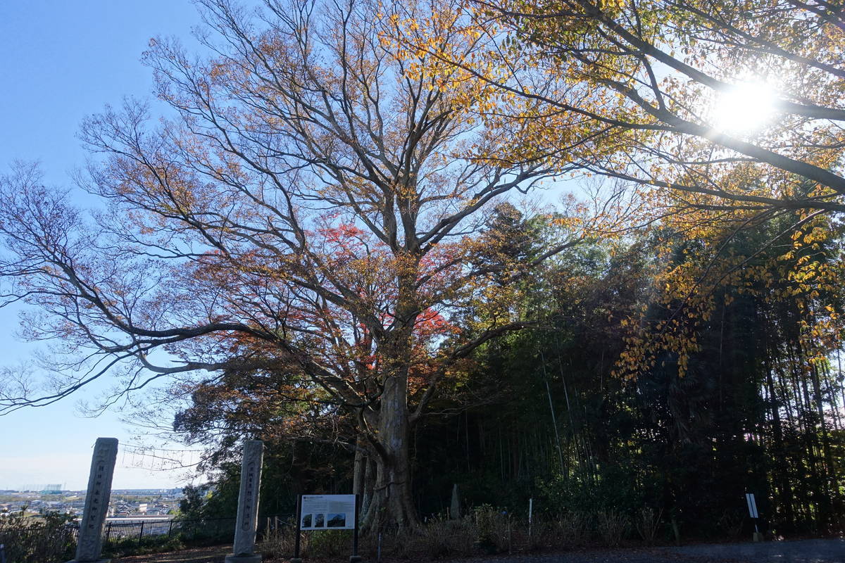 f:id:kojikint70:20201207174601j:plain