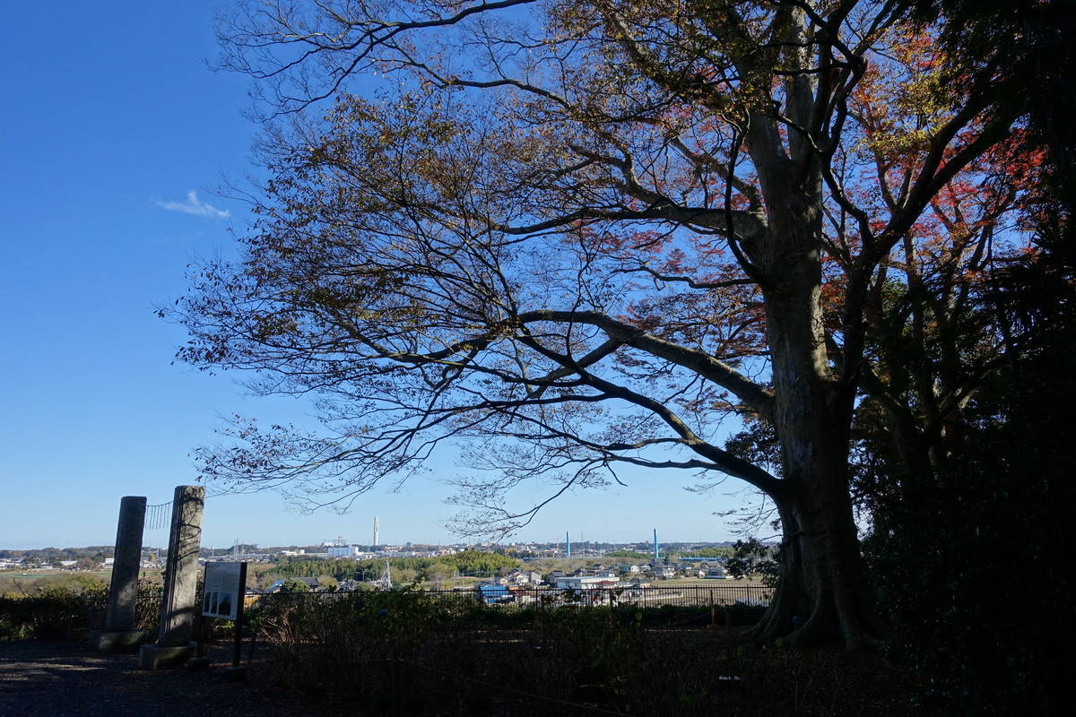f:id:kojikint70:20201207174705j:plain