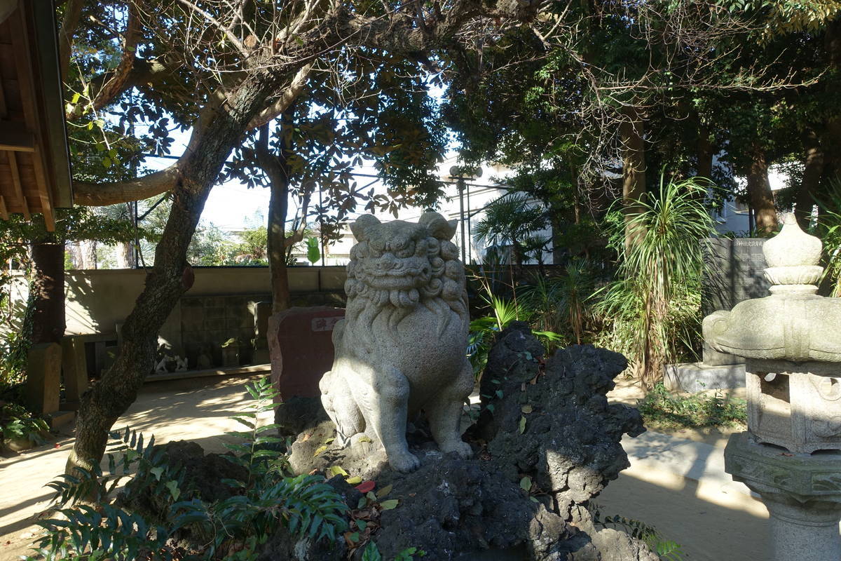 f:id:kojikint70:20201216182746j:plain