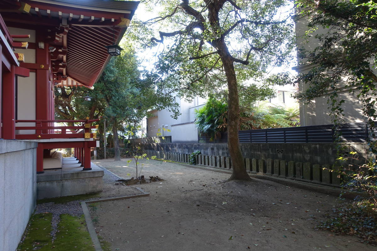 f:id:kojikint70:20201216223621j:plain
