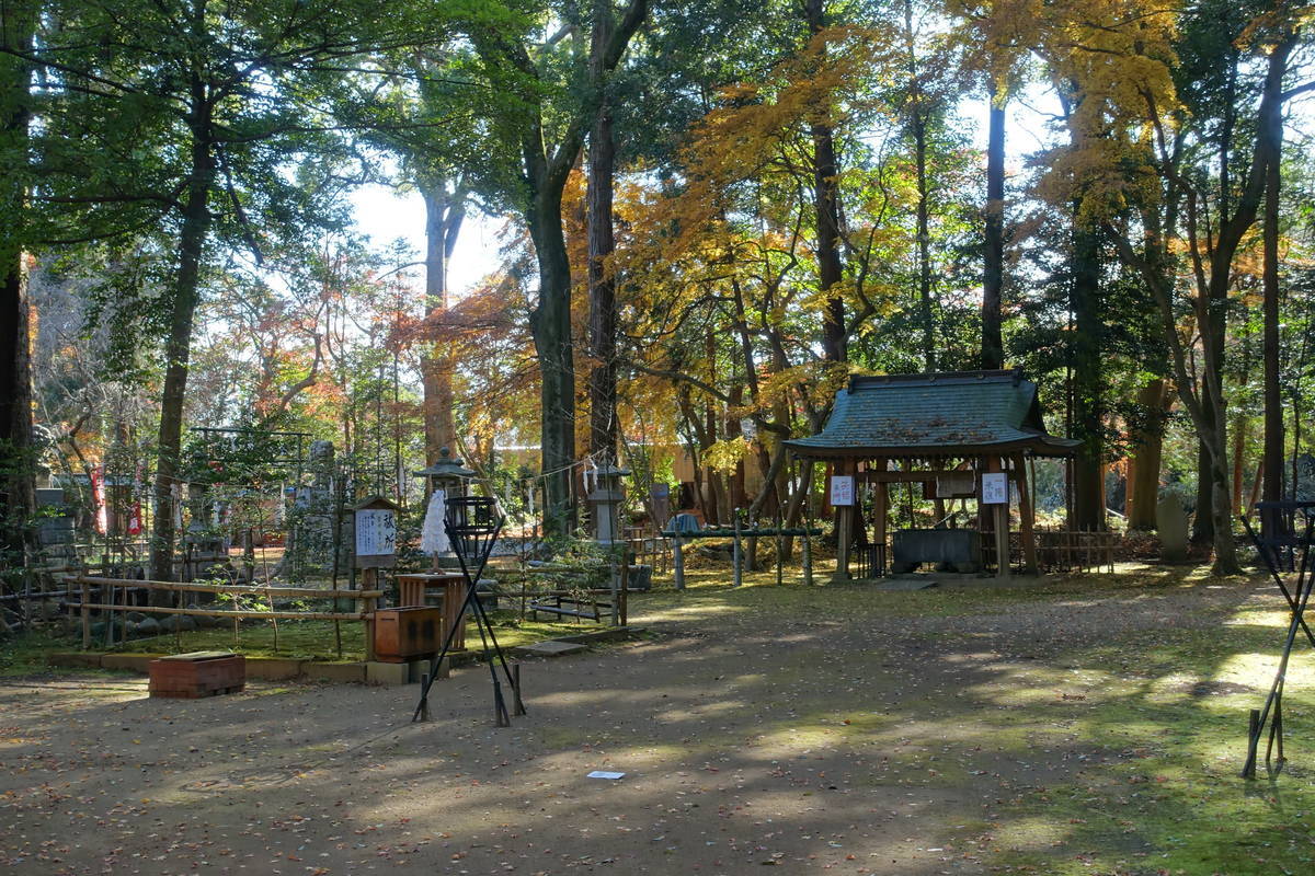 f:id:kojikint70:20201220152845j:plain