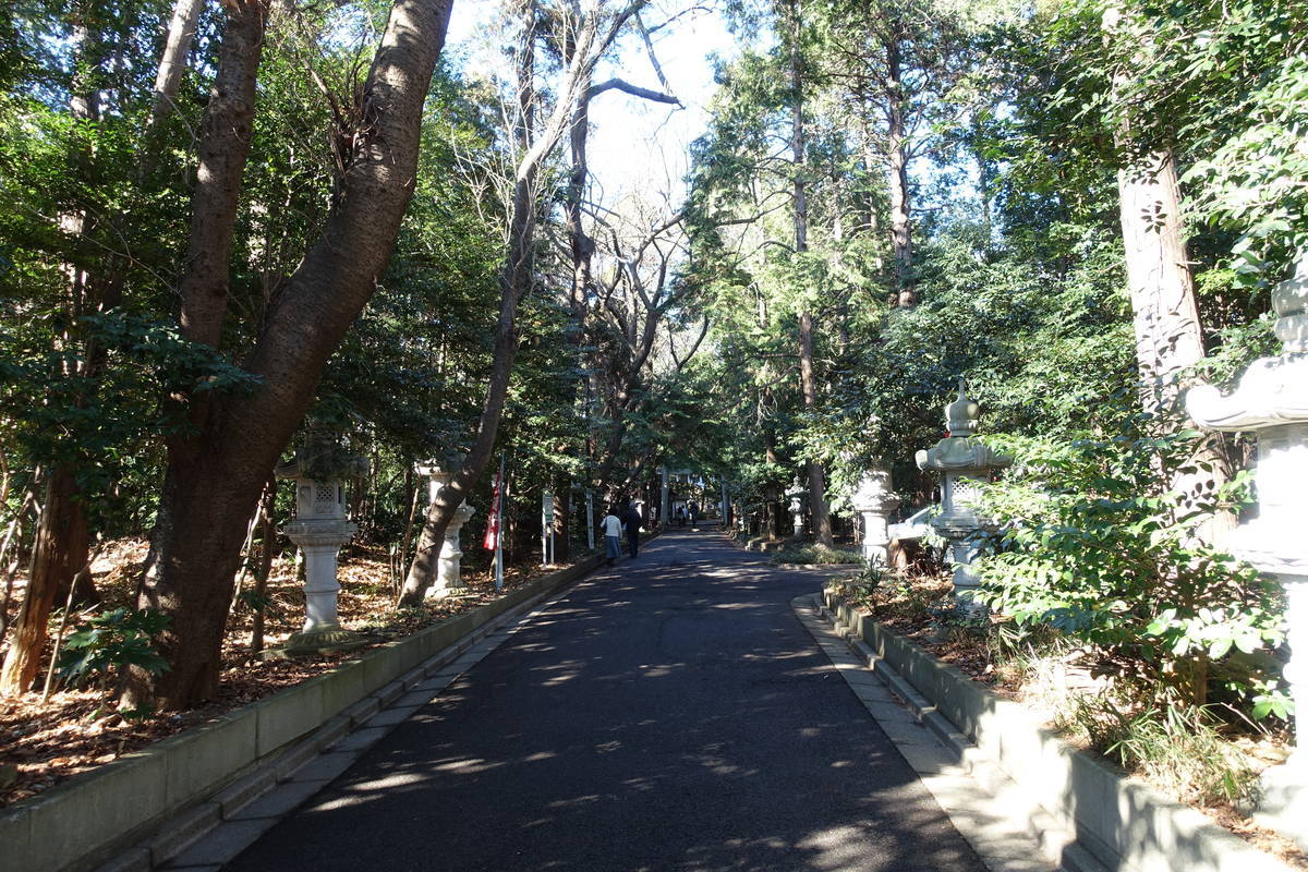 f:id:kojikint70:20210115060842j:plain