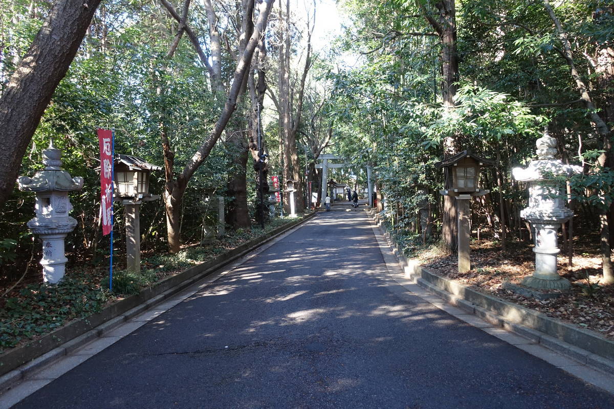 f:id:kojikint70:20210115060923j:plain
