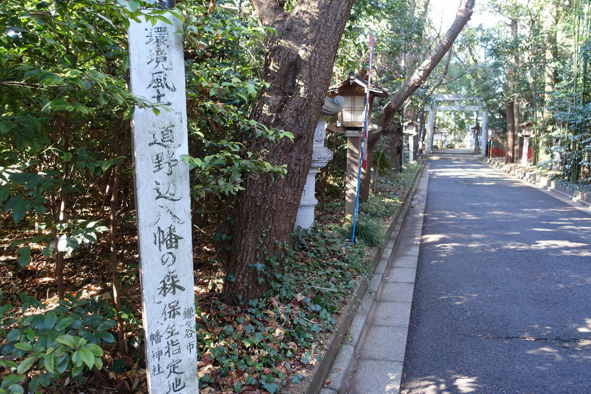 f:id:kojikint70:20210115093521j:plain