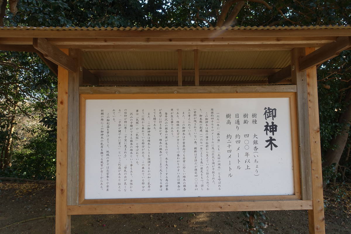 f:id:kojikint70:20210122194028j:plain