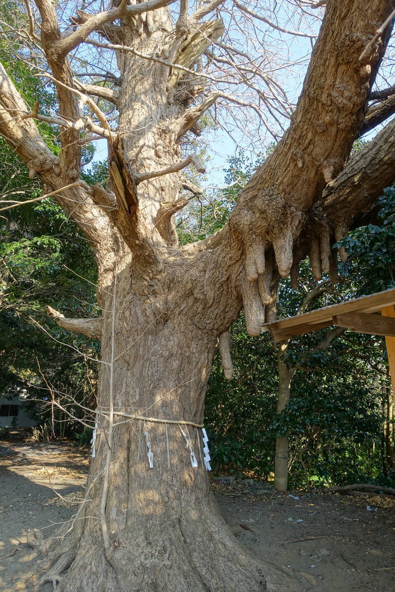 f:id:kojikint70:20210122194116j:plain