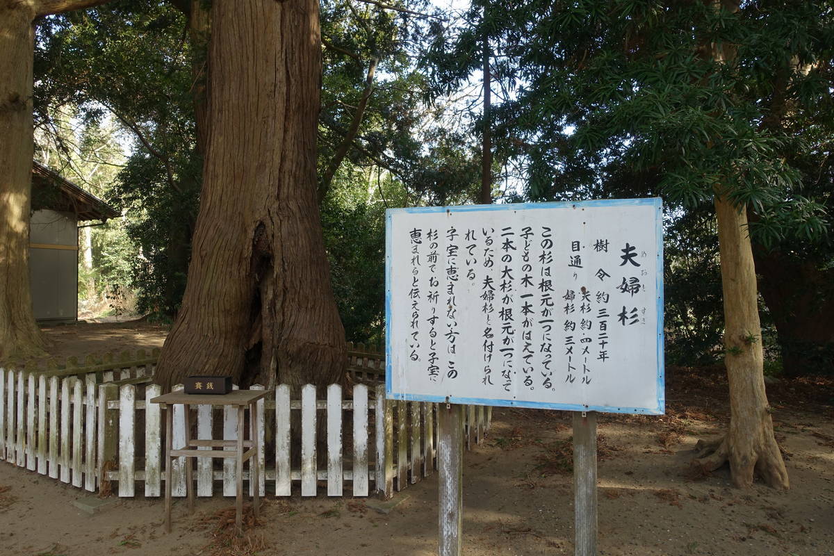 f:id:kojikint70:20210122194453j:plain